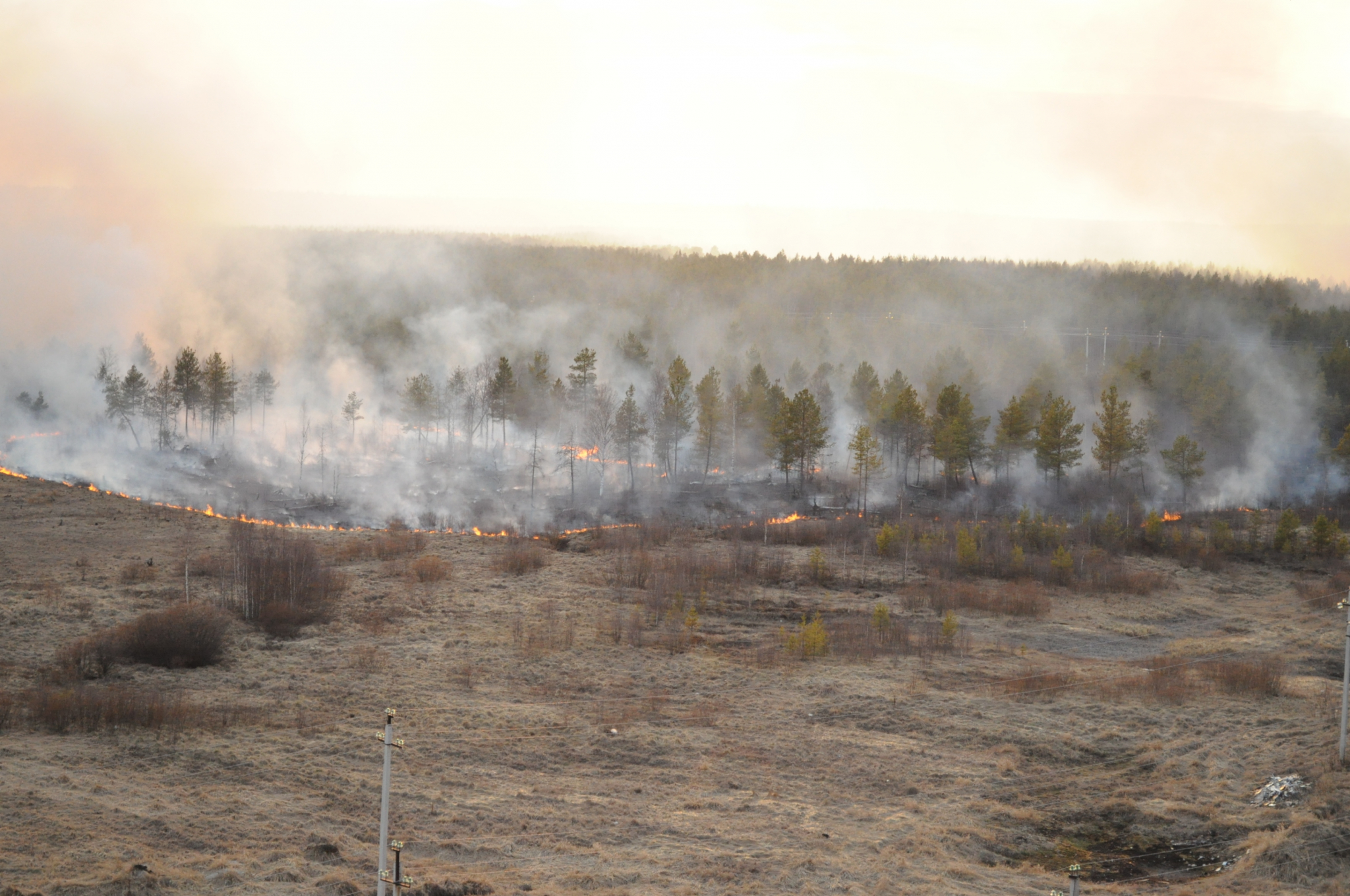Тушить леса в Сибири помогают пожарные из Марий Эл