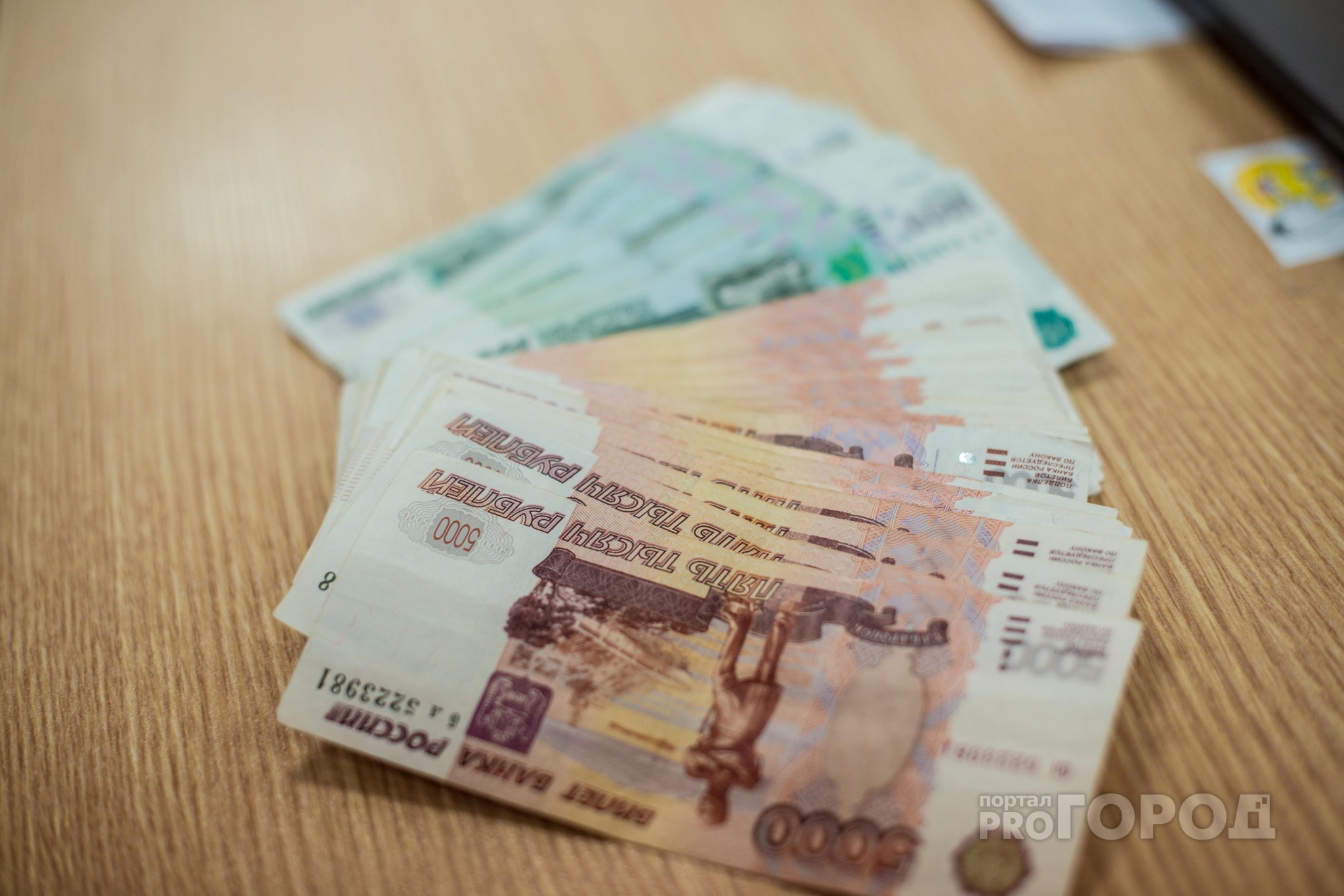 Житель Марий Эл растратил больше 700 тысяч рублей своих сельчан