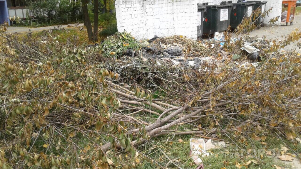 В Йошкар-Оле коммунальщики «не чешутся» с вывозом мусора из двора