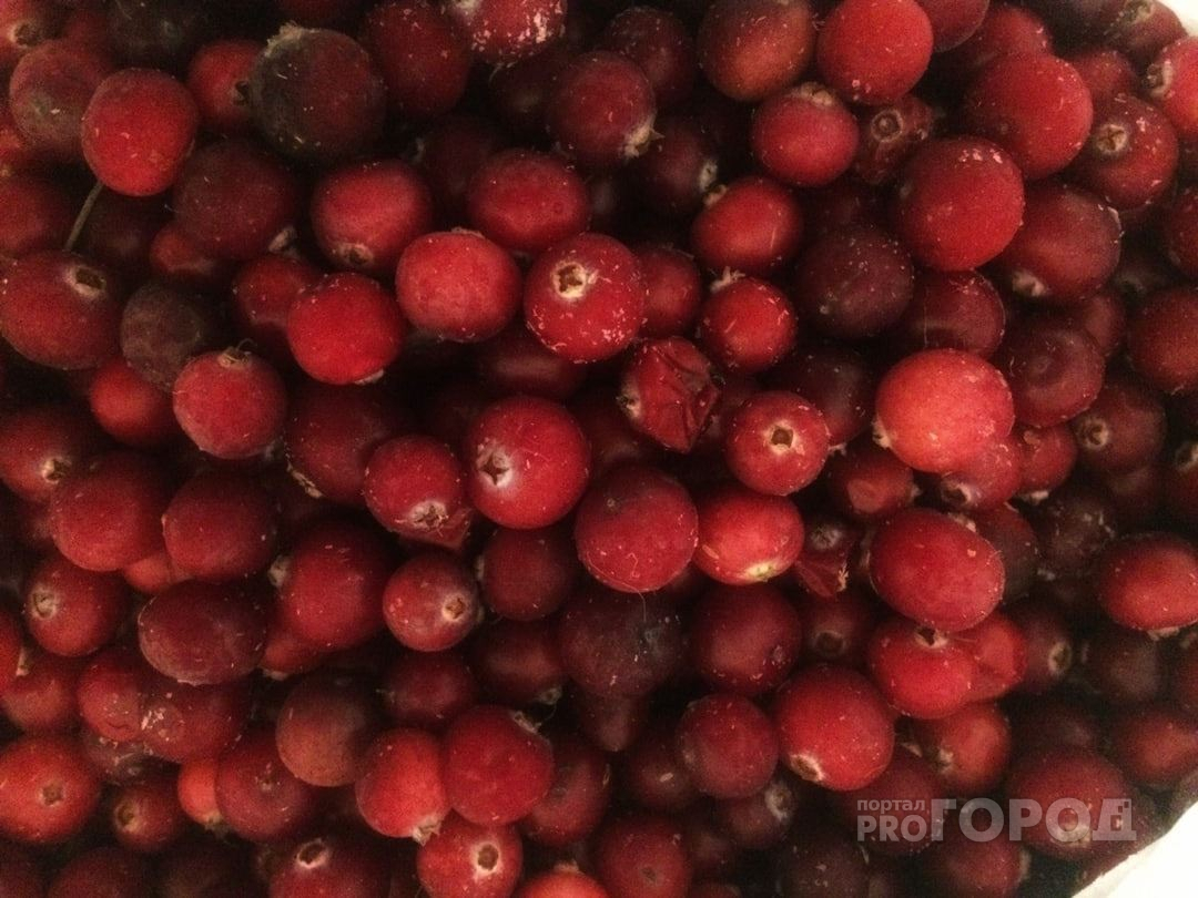Для сердца и иммунитета: самые полезные ягоды этой осени в Марий Эл