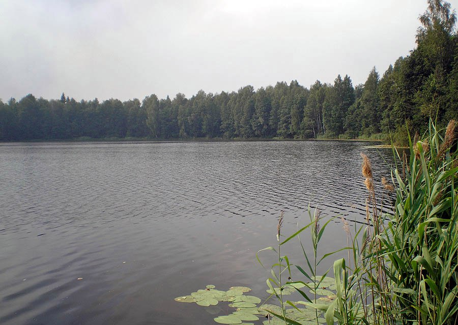 Дурная слава у местных: ТОП-8 мистических озер Марий Эл (фото)