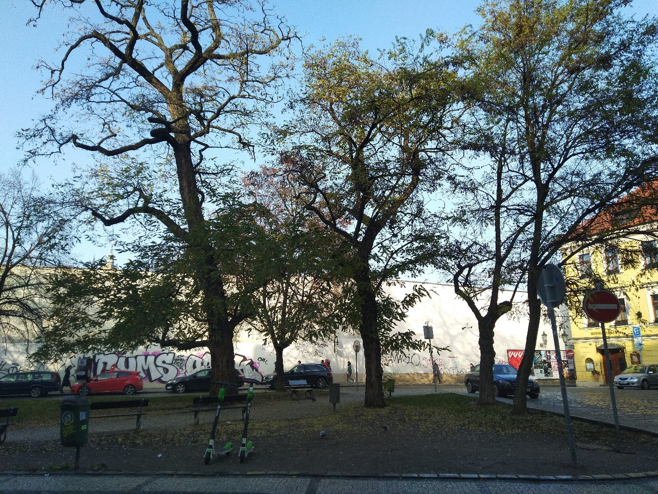 «Почему у нас не так?»: общественник сравнил деревья в Праге и Йошкар-Оле