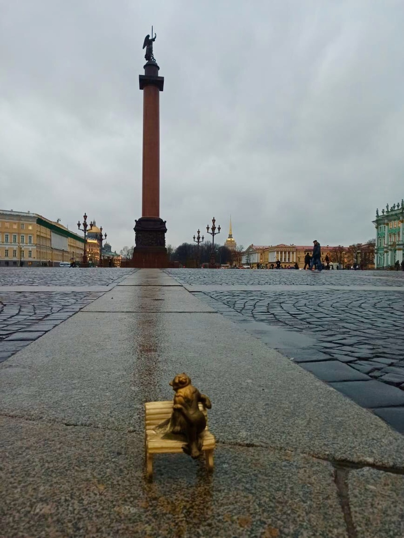«Йошкин кот уже там»: известно по каким дням будут ходить рейсы Йошкар-Ола—Санкт-Петербург