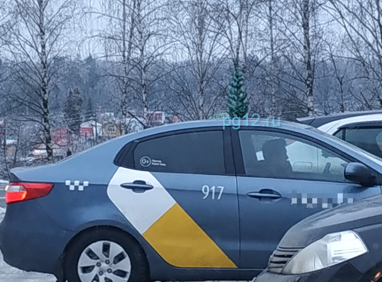 По Йошкар-Оле разъезжает новогоднее «зеленоглазое» такси