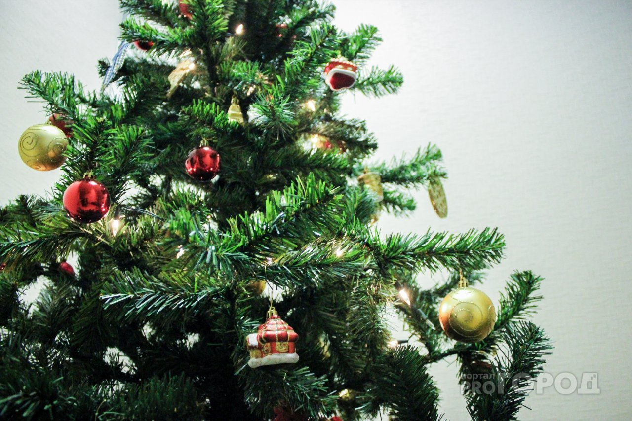 «Праздник не приходит»: йошкаролинец украл у бывшей девушки елку, игрушки и люстру