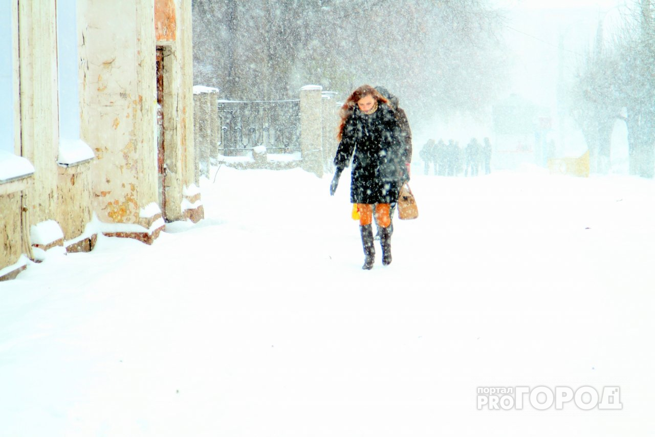Синоптик-любитель из Йошкар-Олы: «Январь исправит снежную ошибку декабря»