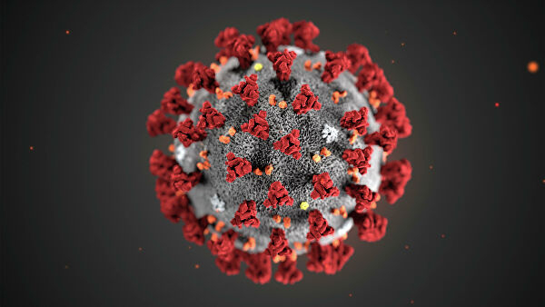 Минздрав назвал сроки разработки вакцины от коронавируса