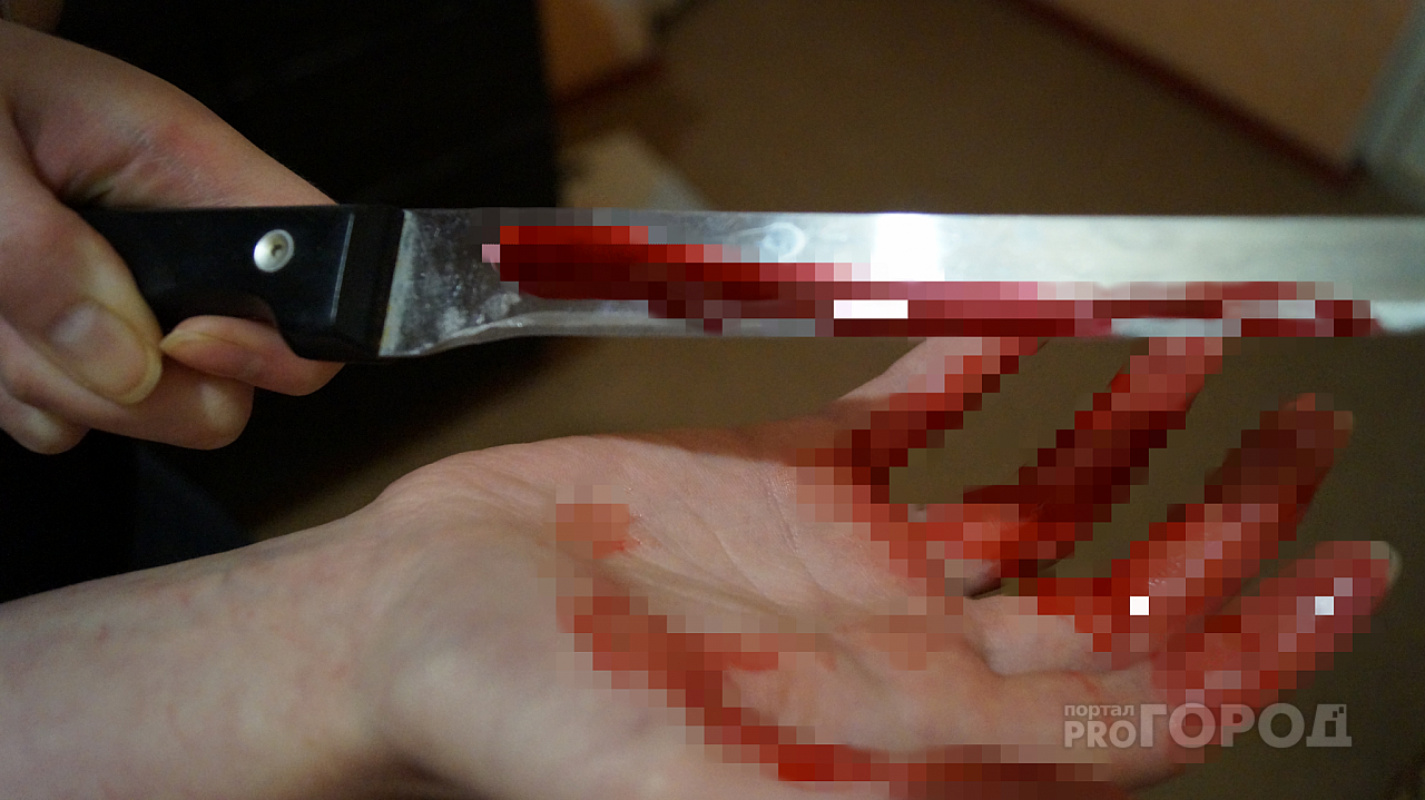 Жительница Марий Эл пырнула ножом приятеля из-за имени для котенка