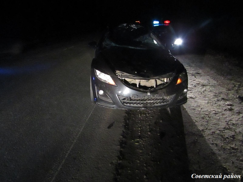 На трассе Йошкар-Ола-Уржум водитель Mazda сбил лося
