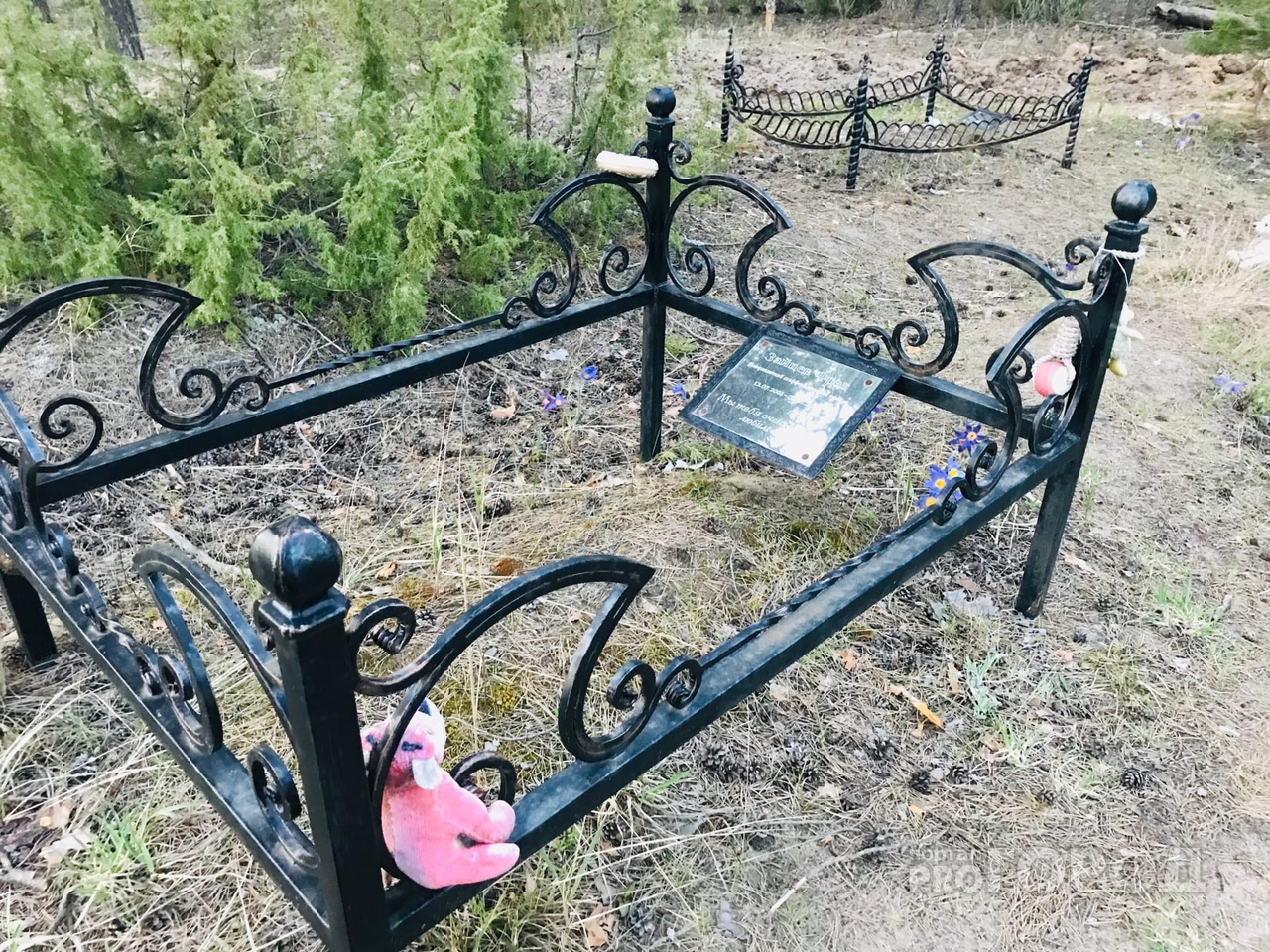 Йошкаролинка нашла в лесу кладбище домашних животных