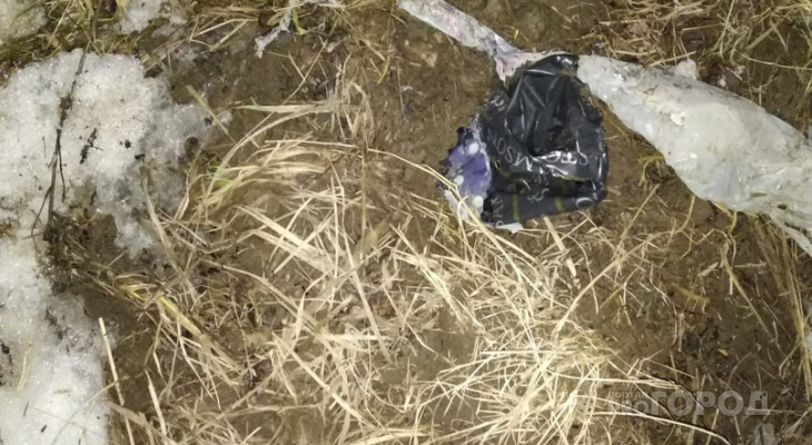 На окраине Йошкар-Олы нашли тело новорожденного ребенка: следователи восстанавливают картину событий