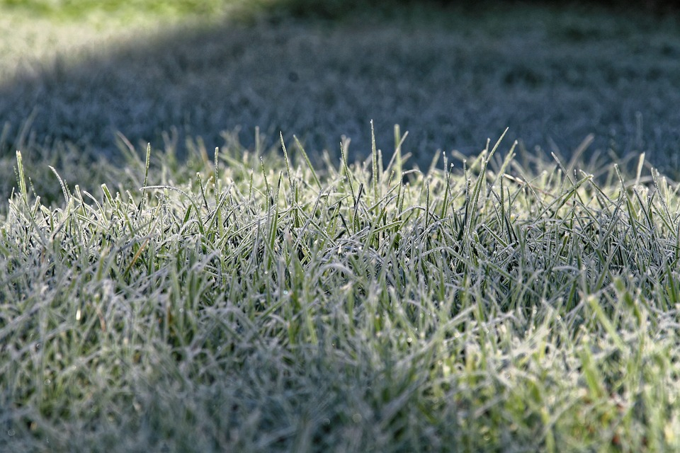 МЧС предупреждает: в Марий Эл ожидаются заморозки на почве