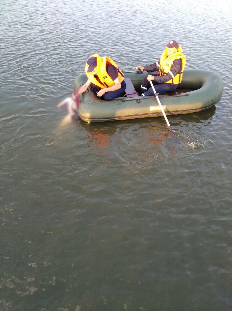 Спасатели подняли со дна тело жителя Марий Эл, утонувшего рядом с плотиной
