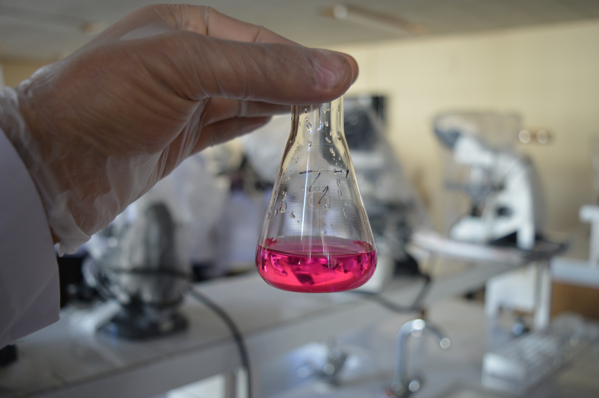 Если вы наберете в этом тесте 10/10, то вашему уровню образованности можно только позавидовать