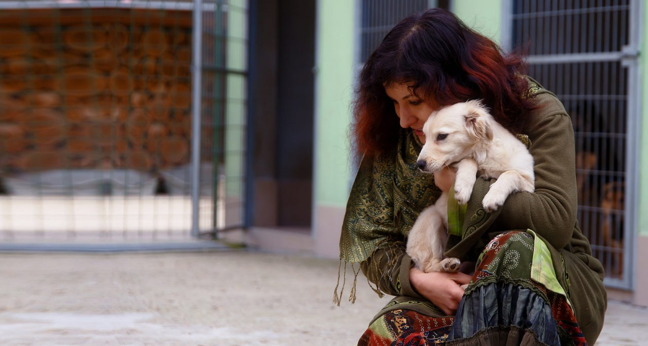 Жители Марий Эл помогут бездомным животным