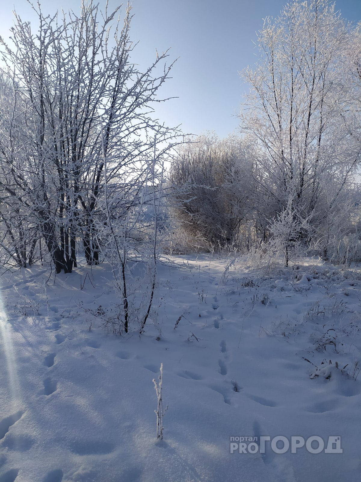 Первая неделя февраля в Йошкар-Оле обещает быть снежной и морозной