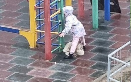 В Йошкар-Оле девочка закрыла собой собаку от дождя