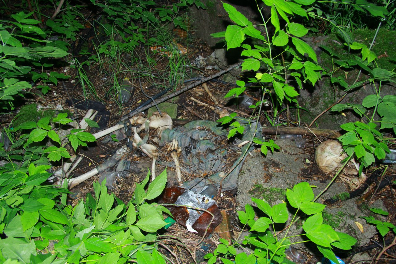 «Лежали там несколько лет»: в Марий Эл нашли кости человека