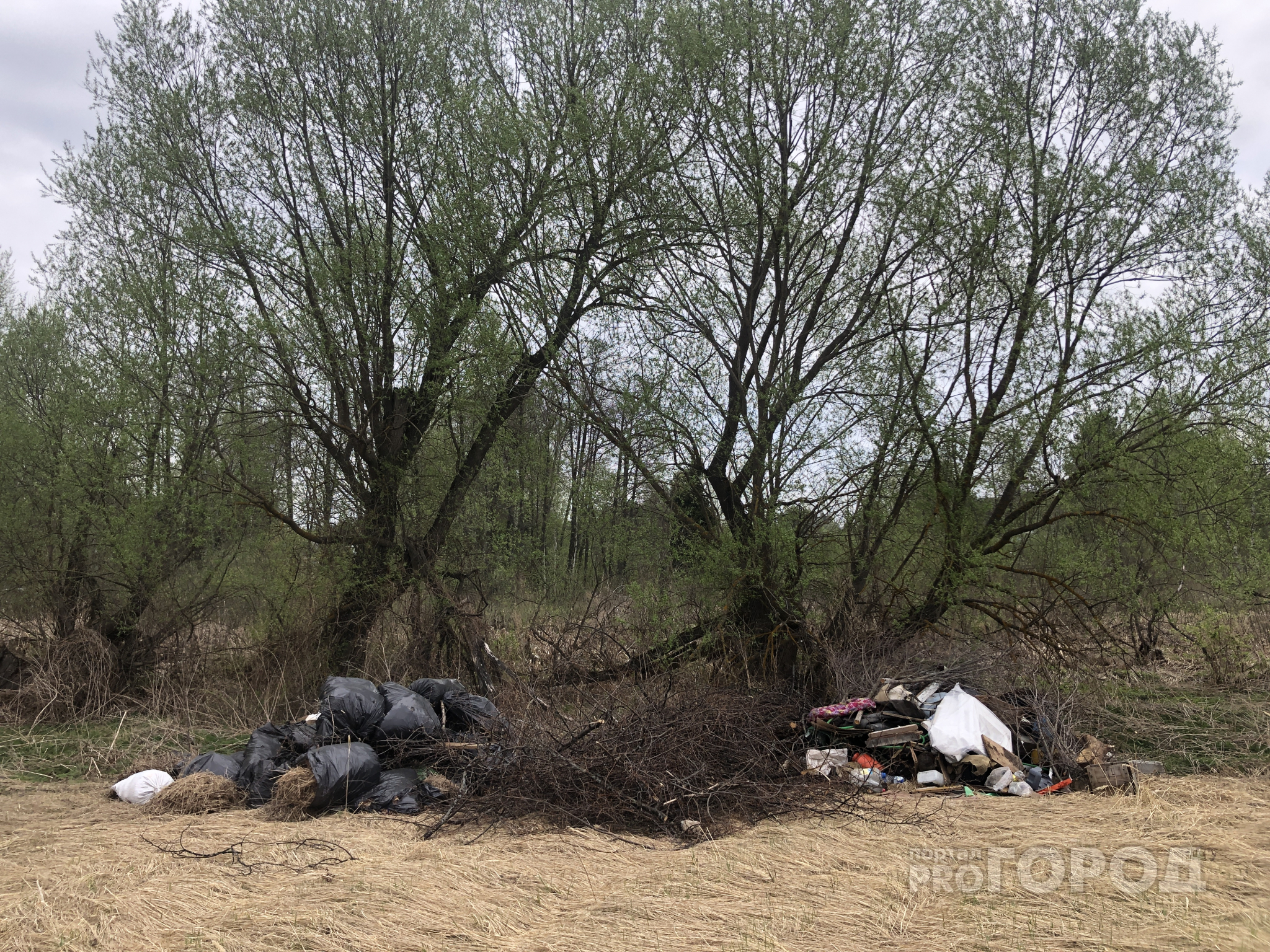 В одном из поселков Марий Эл мусор сваливается на прибрежную зону