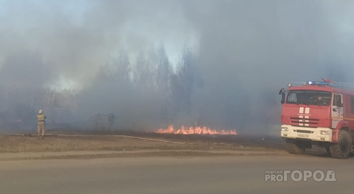 В Марий Эл за несколько месяцев случилось 39 лесных пожаров
