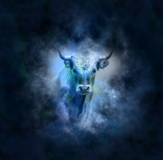 Гороскоп на 24 августа для всех знаков зодиака