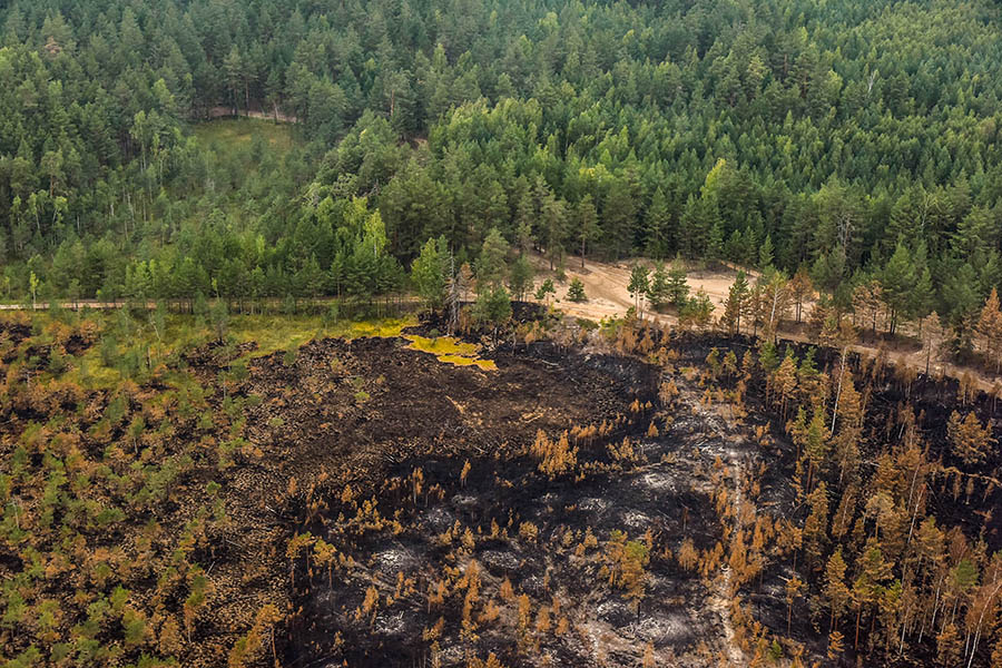 «Да что же это такое!»: в Марий Эл вновь ожидается пожароопасность лесов
