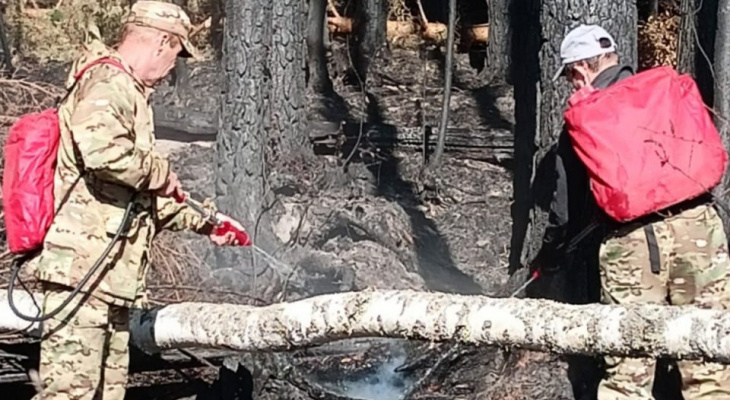 В МЧС сообщили о полной ликвидации пожара в Медведевском районе