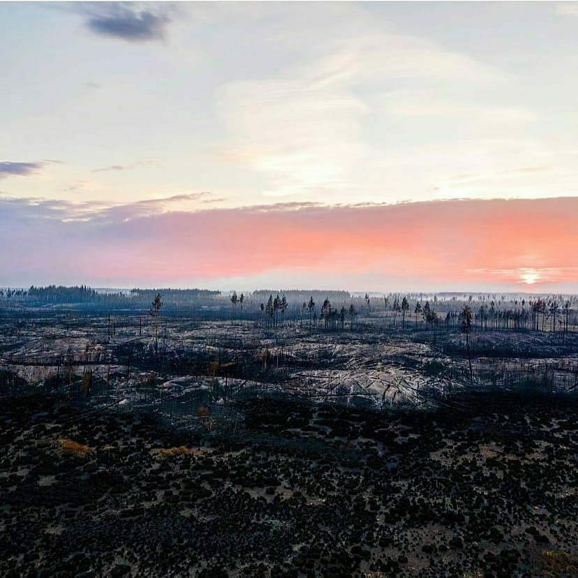 В лесах Марий Эл закончился пожароопасный сезон
