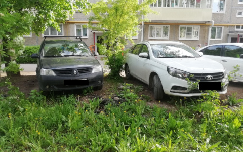 Йошкар-олинские автолюбители не были готовы к новым законам