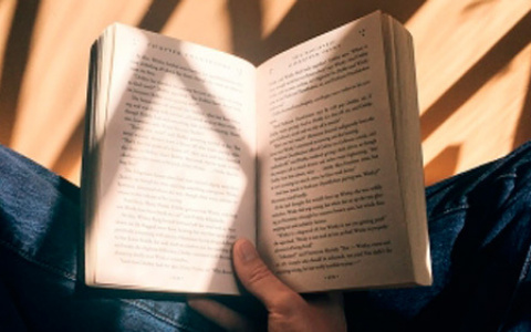 Сможете ли вы определить значения редких слов?