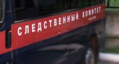 Двух подростков нашли мертвыми в пионерском лагере Подмосковья
