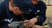 Марийские спасатели экстренно спилили кольцо с опухшего пальца девушки