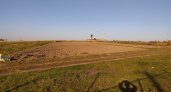 В Минсельхозе Марий Эл прокомментировали прогнозы на рекордный урожай зерна в России