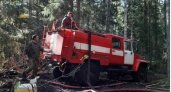 В Марий Эл произошло 6 возгораний в лесу 