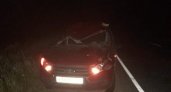В ДТП с лосем в Марий Эл пострадала женщина
