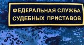 Должник испугался судьбы пешехода и сдался приставам