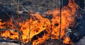 В Марий Эл повысили уровень пожароопасности лесов
