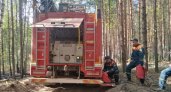 Крупный лесной пожар в Юринском районе потушили спустя 20 дней
