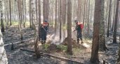 Неравнодушные жители республики помогают огнеборцам тушить пожары