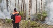 В Марий Эл потушили все природные пожары