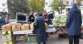 В Царевококшайском Кремле будут продавать овощи и мясо