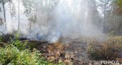 В Марий Эл снова появилась угроза возникновения лесных пожаров
