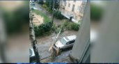В Йошкар-Оле ветер сломал березу, и она разбила автомобиль