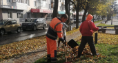 С улиц Йошкар-Олы каждый день вывозят до 15 кубометров листвы