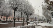 В Йошкар-Оле выпал первый снег