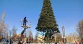 В парке Победы установили 15-метровую елку