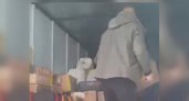 На СВО из Марий Эл отправили палатки, бензопилы и лекарства
