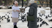 Йошкаролинцев пытаются отвадить кормить голубей 