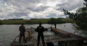 В районе села Кокшайск в воду выпустили молодь толстолобика