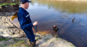 Утонувшего в реке Большая Кокшага нашли благодаря тому, что тело зацепилось за корягу